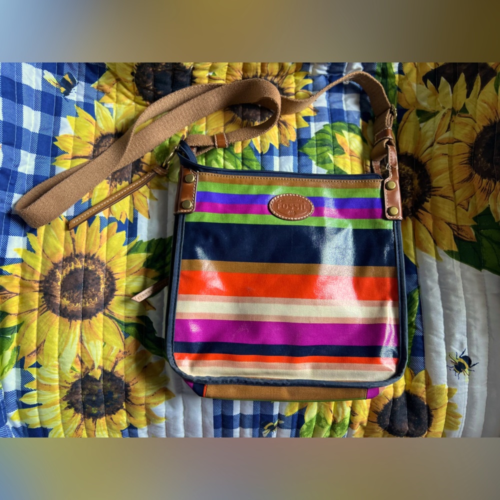 Vintage Fossil Crossbody Bag - Striped 🌻